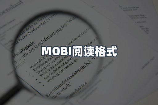 EPUB电子书